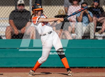 Thumbnail 1 in Los Gatos @ Milpitas photogallery.