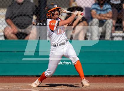 Thumbnail 1 in Los Gatos @ Milpitas photogallery.