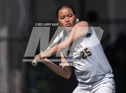 Thumbnail 1 in Los Gatos @ Milpitas photogallery.
