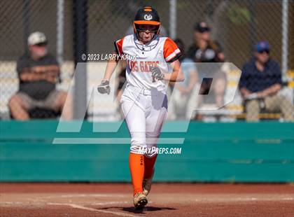 Thumbnail 2 in Los Gatos @ Milpitas photogallery.