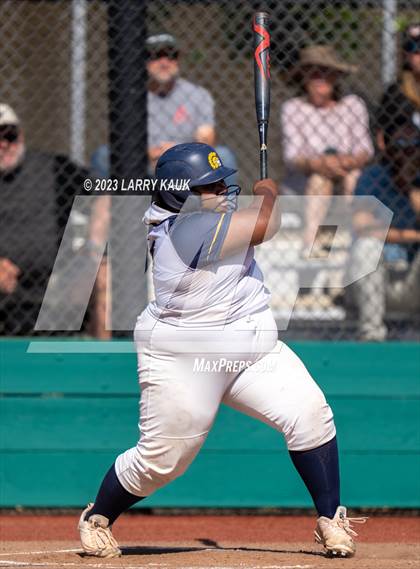 Thumbnail 1 in Los Gatos @ Milpitas photogallery.