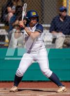 Photo from the gallery "Los Gatos @ Milpitas"