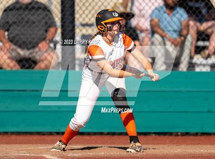 Thumbnail 2 in Los Gatos @ Milpitas photogallery.