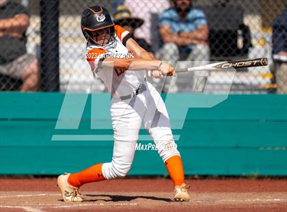 Thumbnail 2 in Los Gatos @ Milpitas photogallery.