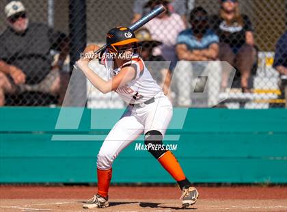 Thumbnail 3 in Los Gatos @ Milpitas photogallery.