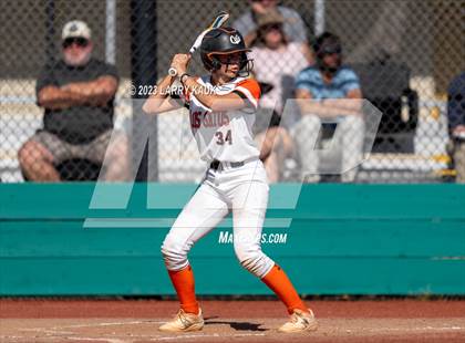 Thumbnail 1 in Los Gatos @ Milpitas photogallery.