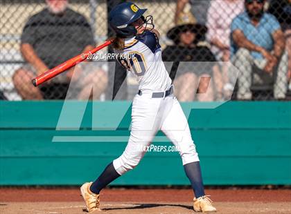 Thumbnail 2 in Los Gatos @ Milpitas photogallery.
