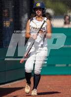 Photo from the gallery "Los Gatos @ Milpitas"