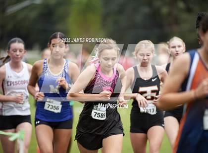 Thumbnail 2 in New World Fall Spectacular (B Teams) photogallery.