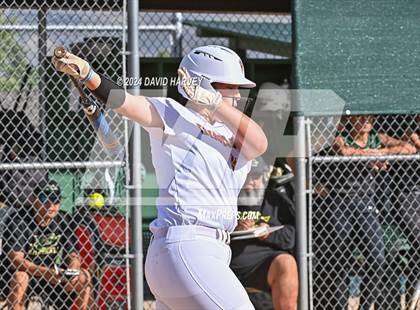Thumbnail 3 in Golden vs Bear Creek photogallery.