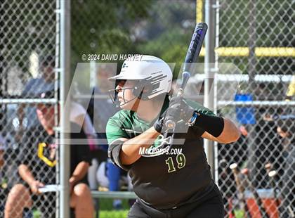 Thumbnail 2 in Golden vs Bear Creek photogallery.