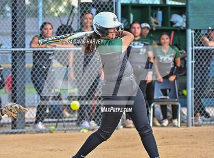 Thumbnail 2 in Golden vs Bear Creek photogallery.