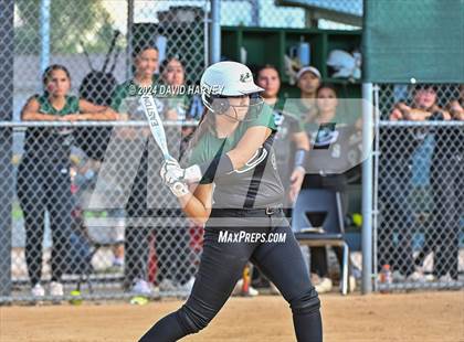 Thumbnail 3 in Golden vs Bear Creek photogallery.