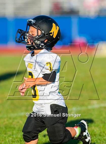 Thumbnail 2 in FR: Novato @ Newark Memorial photogallery.