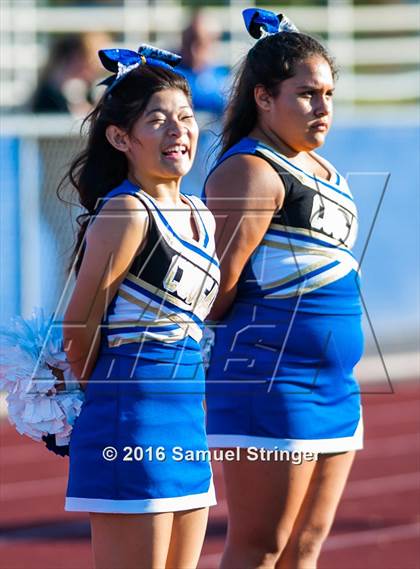 Thumbnail 3 in FR: Novato @ Newark Memorial photogallery.