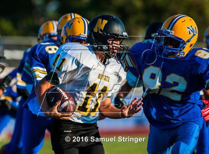 Thumbnail 1 in FR: Novato @ Newark Memorial photogallery.