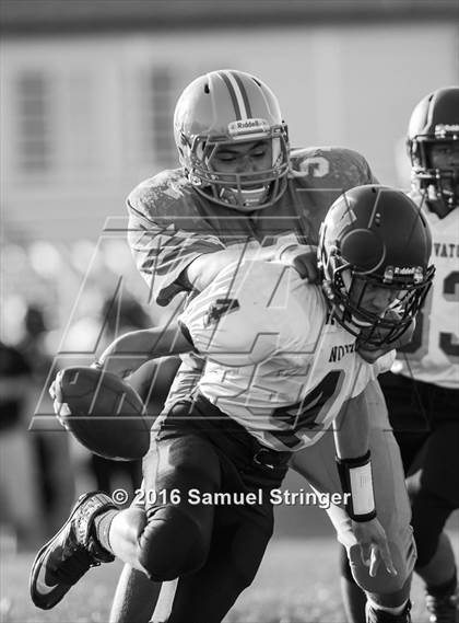 Thumbnail 2 in FR: Novato @ Newark Memorial photogallery.