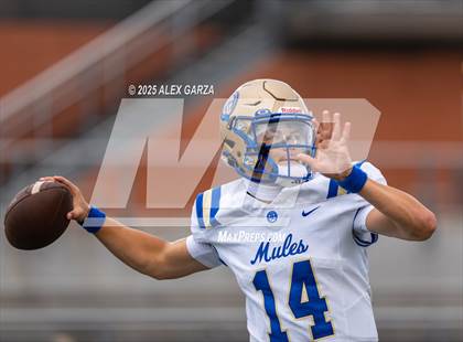 Thumbnail 3 in Alamo Heights @ Churchill photogallery.