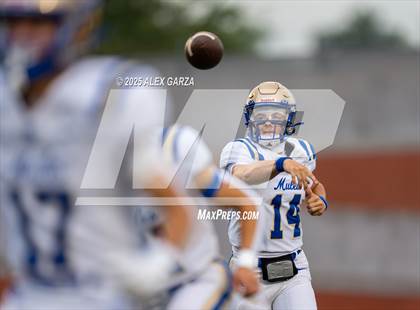 Thumbnail 1 in Alamo Heights @ Churchill photogallery.