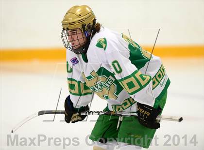 Thumbnail 1 in Darien @ Notre Dame-West Haven photogallery.