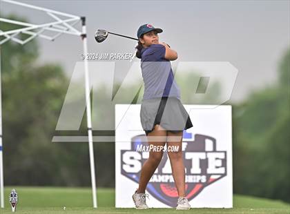 Thumbnail 2 in UIL 6A Golf State Finals (Round 1) photogallery.