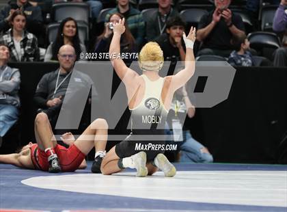 Thumbnail 1 in CHSAA State Championship - Semifinals/4A/5A/Consolation photogallery.