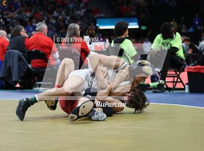 Thumbnail 1 in CHSAA State Championship - Semifinals/4A/5A/Consolation photogallery.