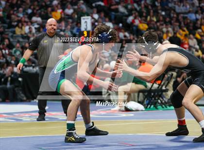 Thumbnail 2 in CHSAA State Championship - Semifinals/4A/5A/Consolation photogallery.