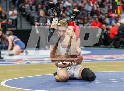 Thumbnail 1 in CHSAA State Championship - Semifinals/4A/5A/Consolation photogallery.