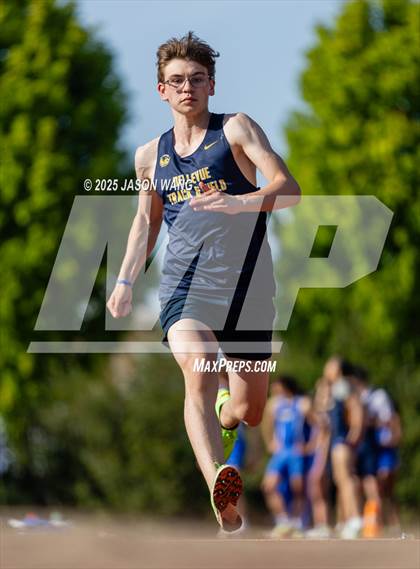 Thumbnail 2 in Bellevue @ Hazen (Long Jump) photogallery.