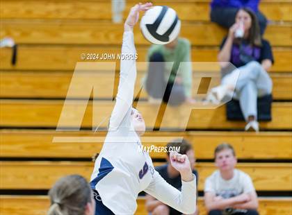 Thumbnail 3 in Bellmont @ Leo photogallery.