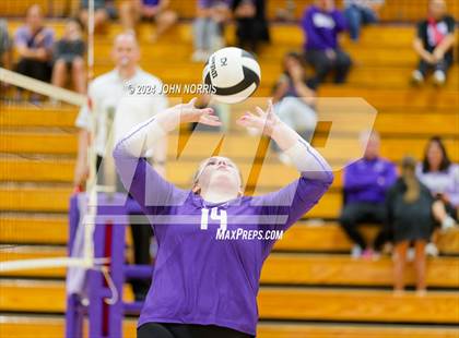 Thumbnail 3 in Bellmont @ Leo photogallery.