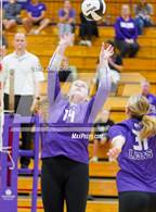 Photo from the gallery "Bellmont @ Leo"