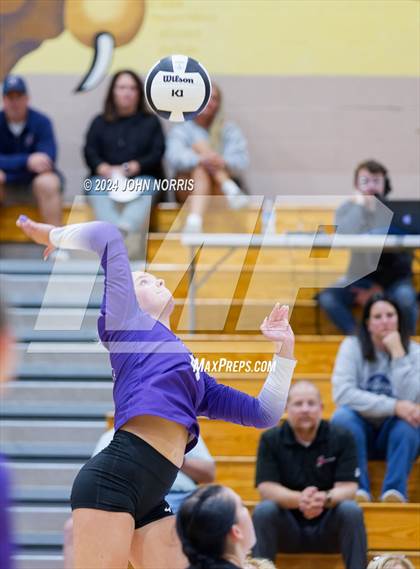Thumbnail 2 in Bellmont @ Leo photogallery.