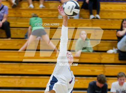 Thumbnail 3 in Bellmont @ Leo photogallery.