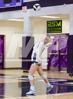 Photo from the gallery "Bellmont @ Leo"