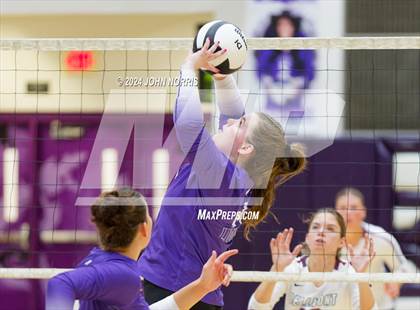Thumbnail 1 in Bellmont @ Leo photogallery.