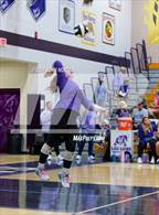 Photo from the gallery "Bellmont @ Leo"