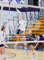 Photo from the gallery "Bellmont @ Leo"