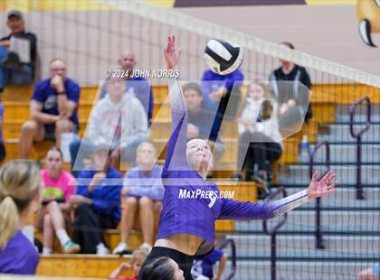 Thumbnail 3 in Bellmont @ Leo photogallery.