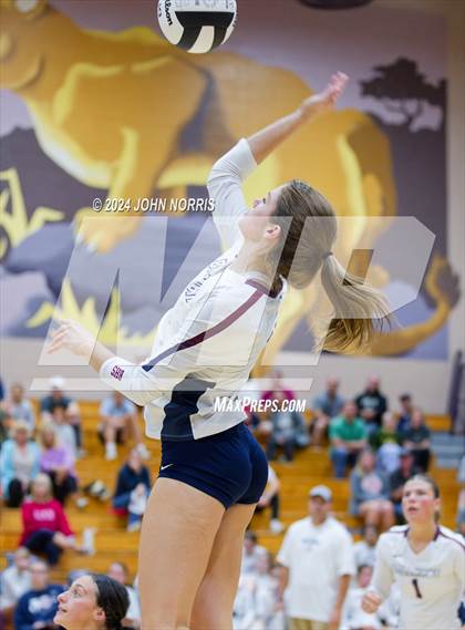 Thumbnail 2 in Bellmont @ Leo photogallery.