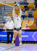 Photo from the gallery "Bellmont @ Leo"