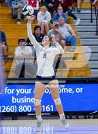 Photo from the gallery "Bellmont @ Leo"