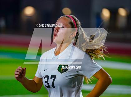 Thumbnail 3 in Basha @ Dobson photogallery.