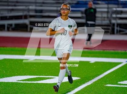 Thumbnail 2 in Basha @ Dobson photogallery.