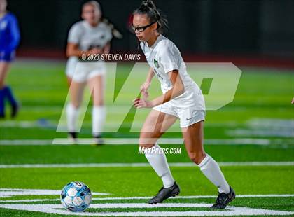 Thumbnail 1 in Basha @ Dobson photogallery.
