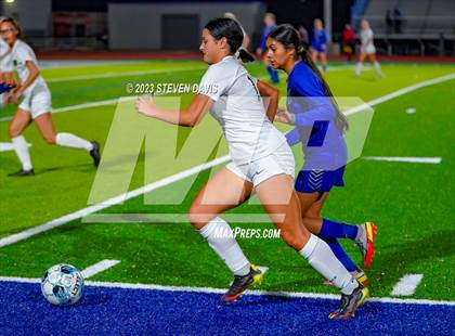 Thumbnail 3 in Basha @ Dobson photogallery.