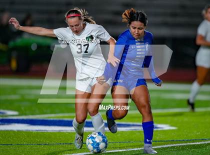 Thumbnail 3 in Basha @ Dobson photogallery.