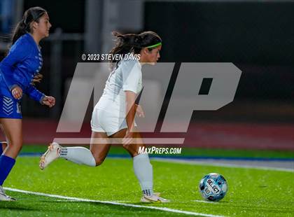 Thumbnail 1 in Basha @ Dobson photogallery.