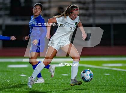 Thumbnail 1 in Basha @ Dobson photogallery.